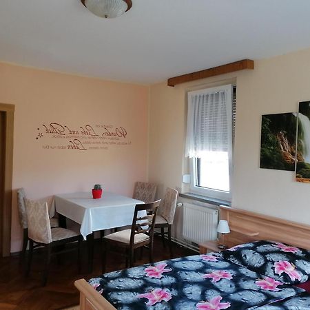 Flat Near The Tannenbergsthal Ski Resort Muldenhammer Luaran gambar