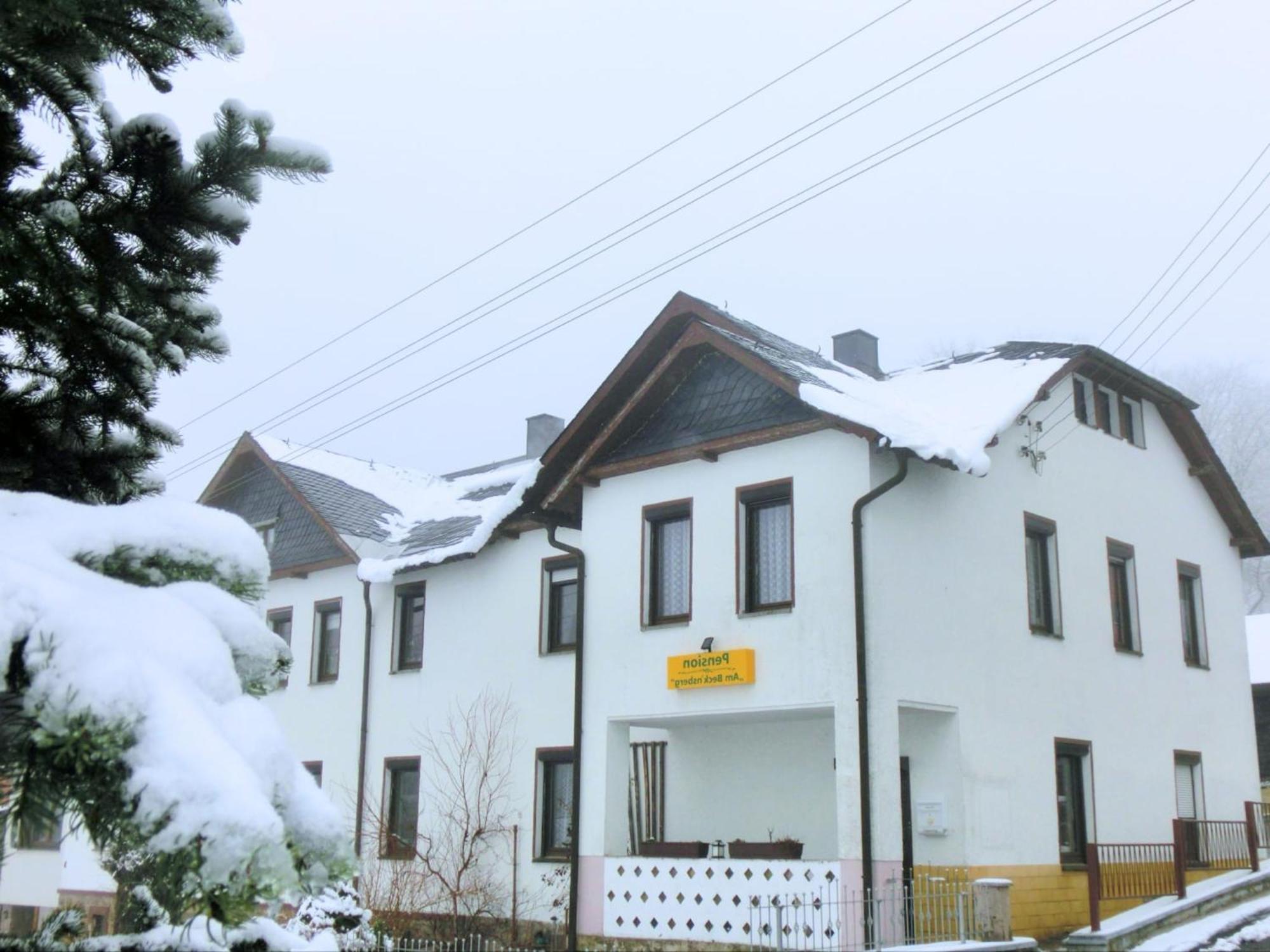 Flat Near The Tannenbergsthal Ski Resort Muldenhammer Luaran gambar